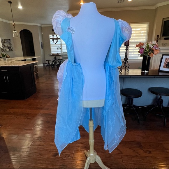 Disney Cinderella Gown Girls XL fit Women XS S Costume Dress Long Blue - Picture 7 of 16